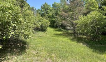 002 Maxey Rd, Arcadia, MI 49613