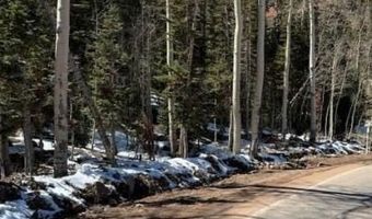 641 N Hwy 143, Brian Head, UT 84719