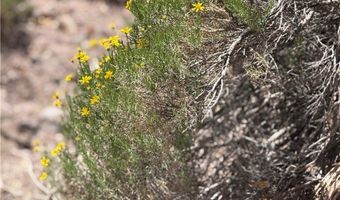 Carp Road, Caliente, NV 89008