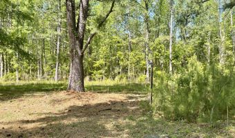7693 White Point Rd, Hollywood, SC 29449