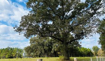644 Ash-Harrel Loop, Abbeville, GA 31001