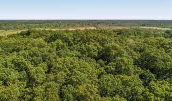 602 E Beverly Dr, Beverly Shores, IN 46301