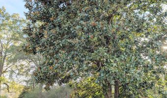 644 JEFFERSON Ave, Bastrop, LA 71221