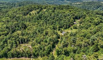 309 Timber Rd, Barren Springs, VA 24313