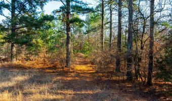 TBD Castle Drive, Batesville, AR 72501