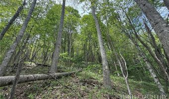 Spice Creek Road, Banner Elk, NC 28604