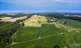 30 Acres Stevenson Rd, Ardmore, TN 38449