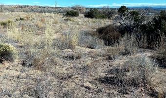 El Porvenir lot 5, Abiquiu, NM 87510