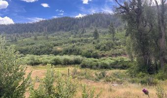 3230 Bear Creek Rd, Bayfield, CO 81122