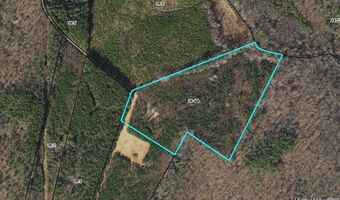 18 62 Ac Squirrell Hollow Rd, Alberta, VA 23821