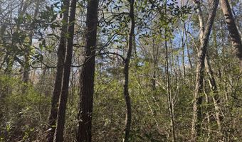 Little Prong Road NW lot 2 & 3, Ash, NC 28420