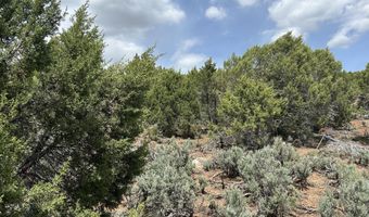 151 Monarch Rd, Glenwood Springs, CO 81601