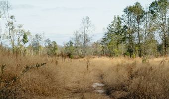 US Hwy 98, Beaumont, MS 39423