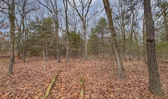 0 Bells Chapel Rd, Atkins, AR 72823