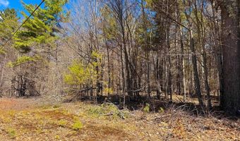 TM 407 L 35 Shem Valley Road, Alexandria, NH 03222