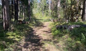 54785 McKenzie River Dr, Blue River, OR 97413