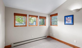 166 Swinging Bridge Ln, Basalt, CO 81621