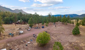 County Road N2144, Alpine, AZ 85920