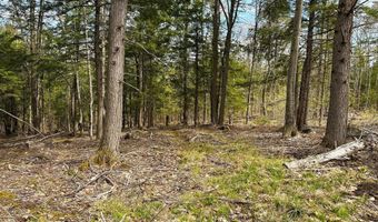 TM 413 L 99 King Road, Alexandria, NH 03222