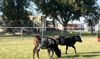 7770 WESTSIDE Rd, Anthony, TX 79821