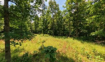 County Road 200, Alton, MO 65606