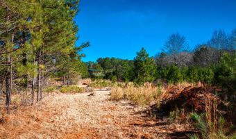 6978 Moontown Dr, Appling, GA 30802
