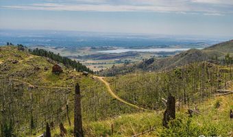0 Pine Acres, Bellvue, CO 80512