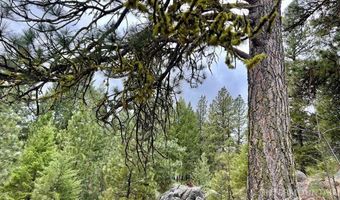 Tbd Hilltop Rd, Cascade, ID 83611