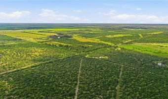 3124 County Road 220, Alice, TX 78332