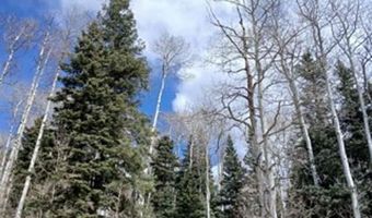 4558 Middle Mountain Rd, Bayfield, CO 81122