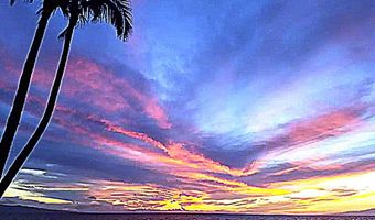 1310 Uluniu Rd 117, Kihei, HI 96753