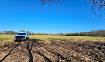 6 11 Acres Cedar Spgs, Ashford, AL 36312