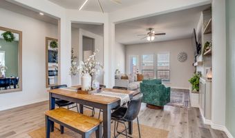 729 Jessica Lynn Ln, Anna, TX 75409