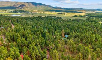 6 County Road 2070, Alpine, AZ 85920