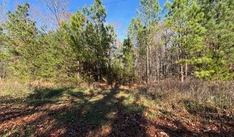 0 Chestnut Grove Rd, Appomattox, VA 24522