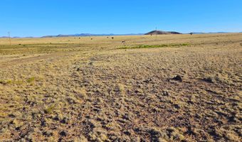 CR 5074 lot 4, Concho, AZ 85924