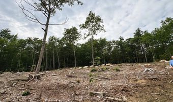 Rines Road 49, Alton, NH 03809