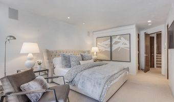 708 E Hyman Ave, Aspen, CO 81611