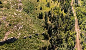 County Rd 46, Aguilar, CO 81020
