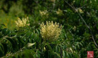 Teal Road, Ardmore, OK 73401