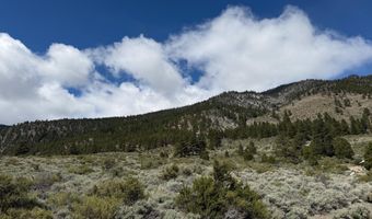 2527 Eagle Ridge Rd Lot 41, Genoa, NV 89411