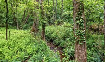 580 Eagles Perch Rd, Ball Ground, GA 30107