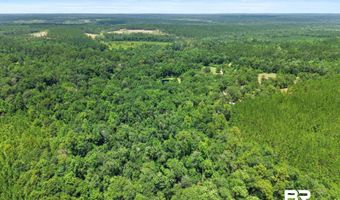 3470 Bell Fork Rd, Atmore, AL 36502
