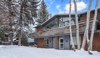 1001 E Cooper Ave 1, Aspen, CO 81611