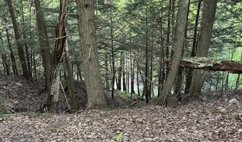 Map17-Lot 31 & 33 River Road, Bath, NH 03740