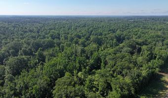 Us-51, Bogue Chitto, MS 39629