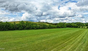 14 127 Ac Justice Rd, Afton, TN 37616