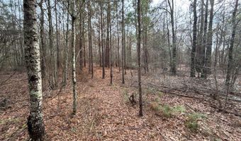 N broad St, Abbeville, GA 31001