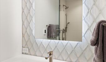 447 E Cooper Ave 1, Aspen, CO 81611