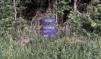 CHAPMAN Drive lot 10, Abita Springs, LA 70420
